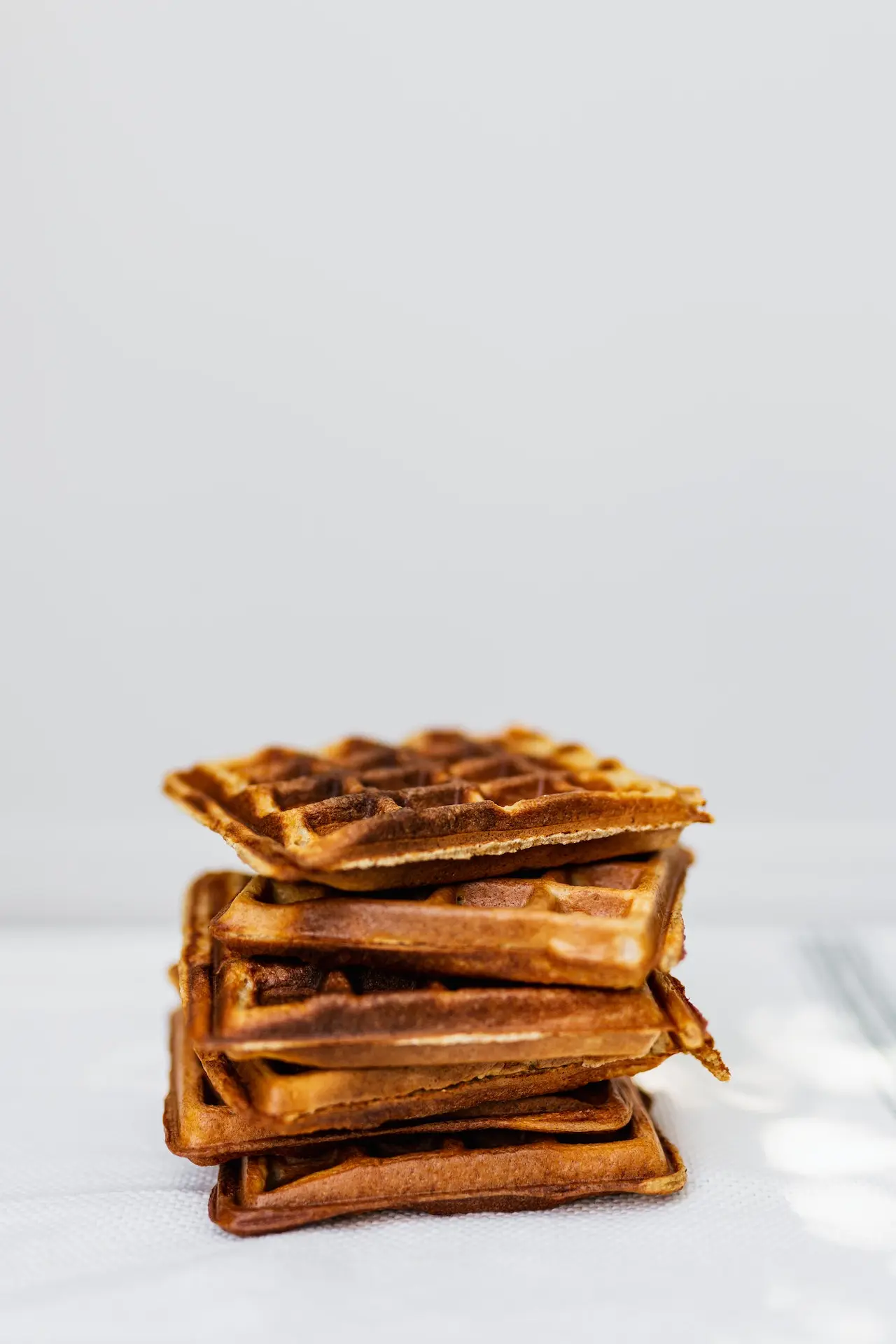 Proteïne wafel met kaas